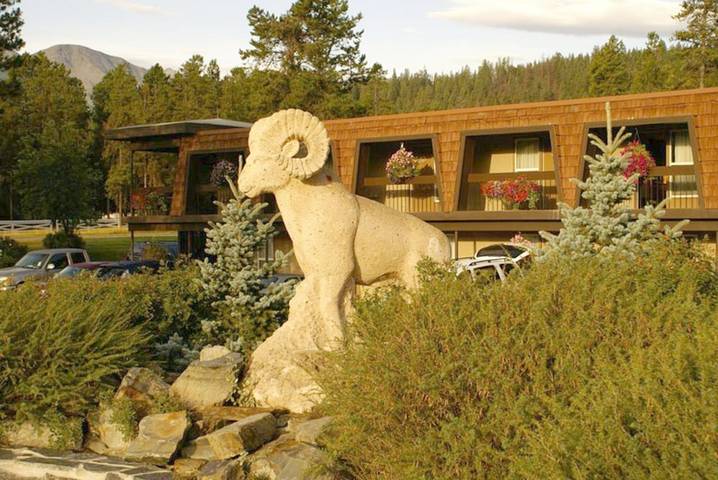 Hôtel pour 4 personnes, avec sauna et jacuzzi ainsi que terrasse et piscine, animaux acceptés dans Jasper