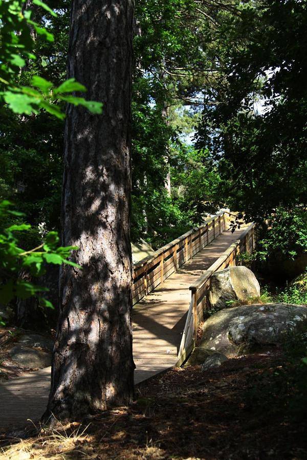 Camping pour 6 personnes, avec terrasse et piscine dans Seine-et-Marne - 3