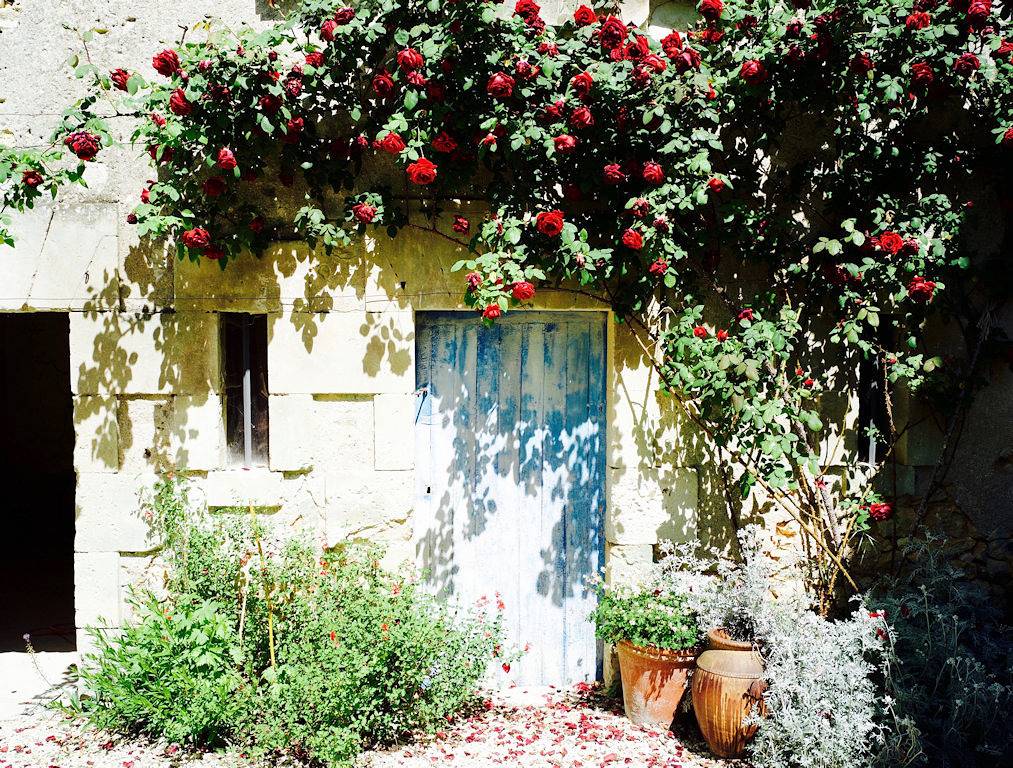 L'Atelier des sources - Chambre Taïla in Angles-sur-l'Anglin, Vienne (France)