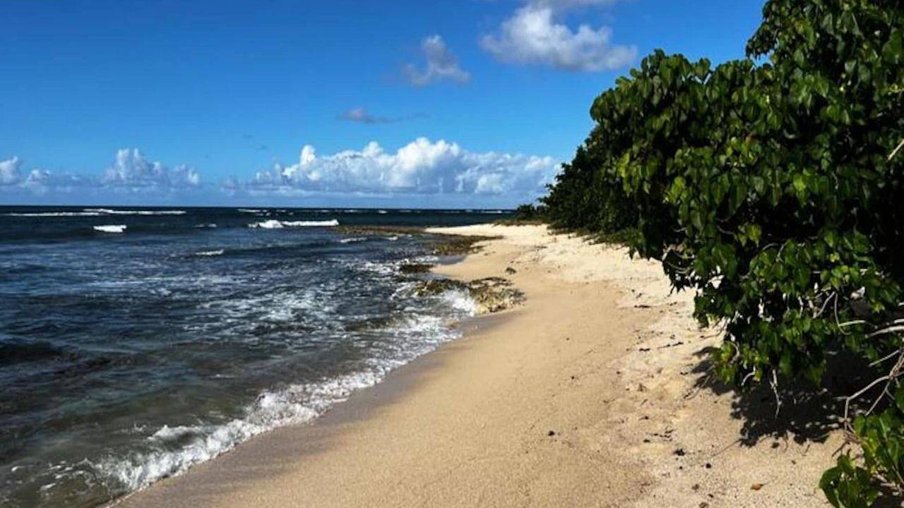 Appartement de vacances entier, Ferienwohnung für 3 Personen (30 m²) in Le Moule, Guadeloupe