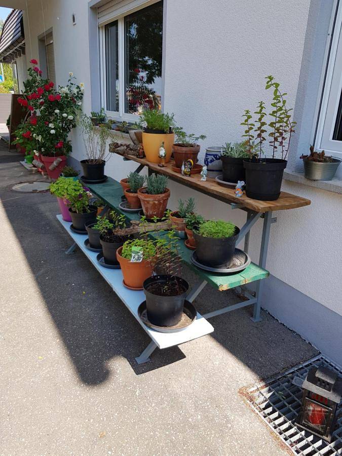 Ferienwohnung für 2 Personen, mit Terrasse und Garten sowie Seeblick und Ausblick in Langenargen