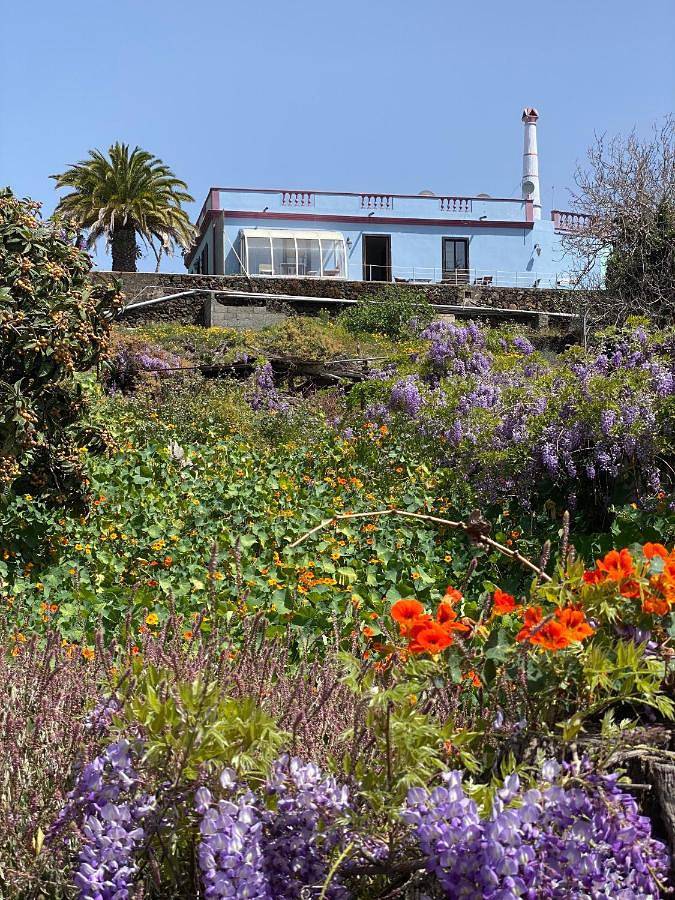 Chalet para 5 personas, con sauna y piscina además de jardín y vistas, Se admiten mascotas en La Palma - 3
