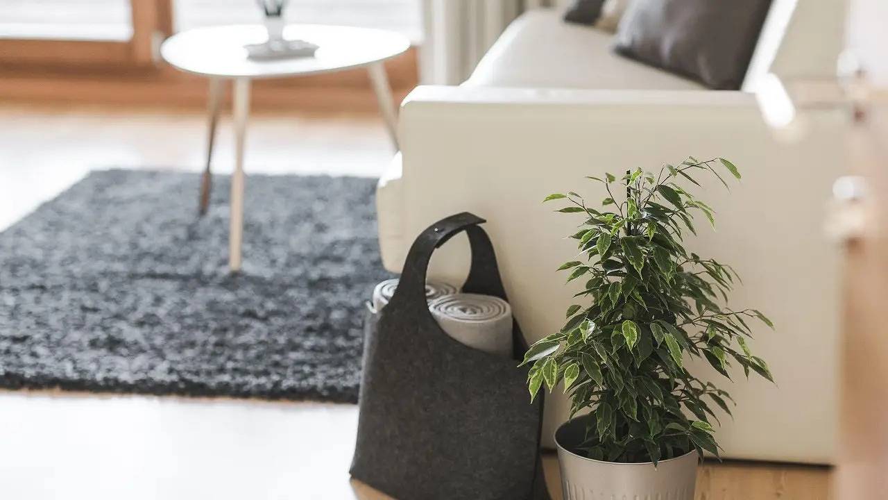Geheel vakantieappartement, Ferienwohnung für 4 Personen (55 m²) in Mals in Matsch, Mals