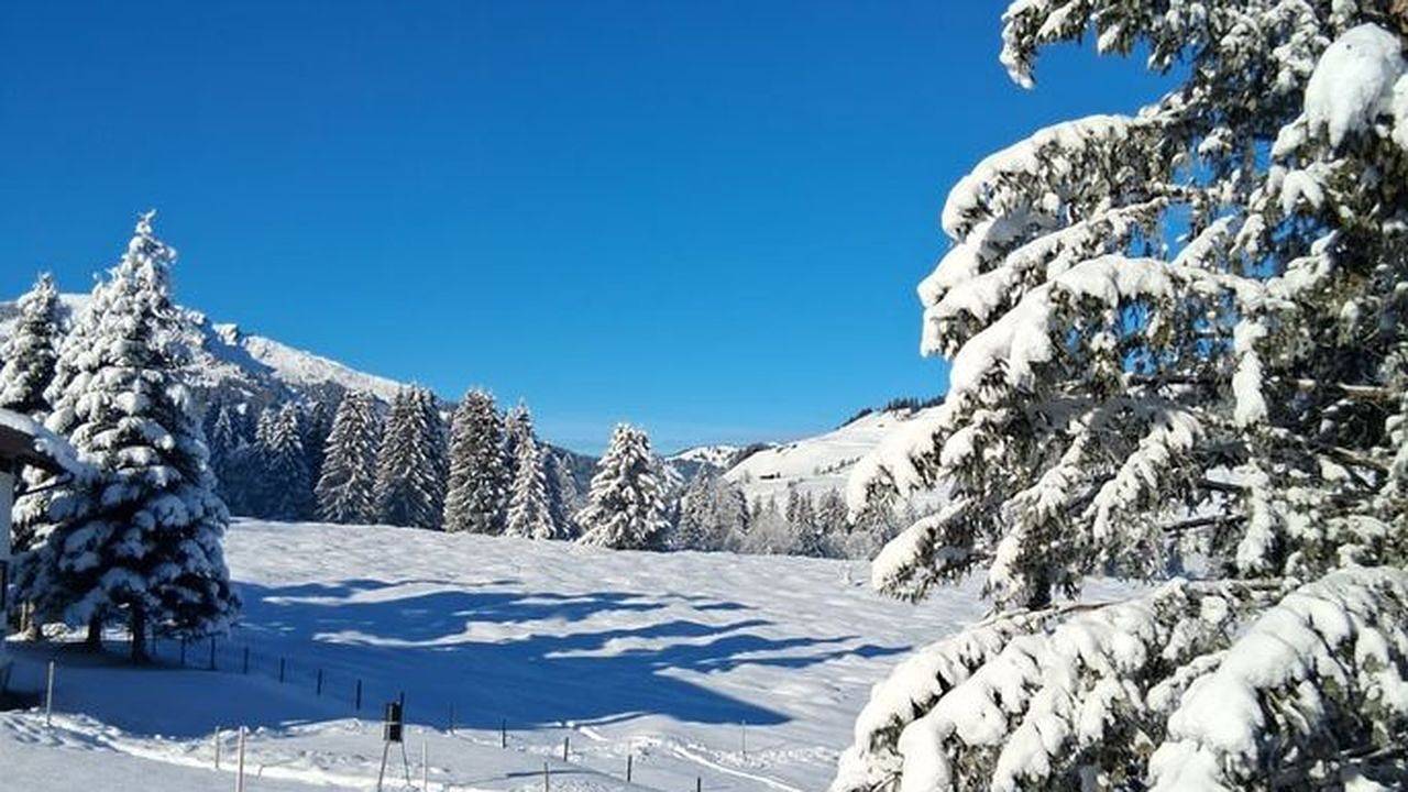 Geheel vakantieappartement, Ferienwohnung für 3 Personen (44 m²) in Tannheim in Tannheim, Allgäuer Alpen (Oostenrijk)