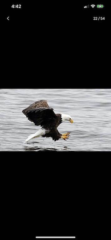 Newer Rustic Wifi Villa by Starved Rock sleeps 7. A guest favorite!! in Starved Rock State Park