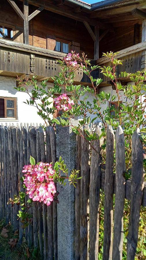 Ferienwohnung für 4 Personen, mit Ausblick und Garten sowie Balkon in Hauzenberg - 3
