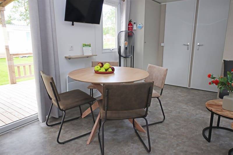 Caravan voor 4 personen met terras in Veluwe