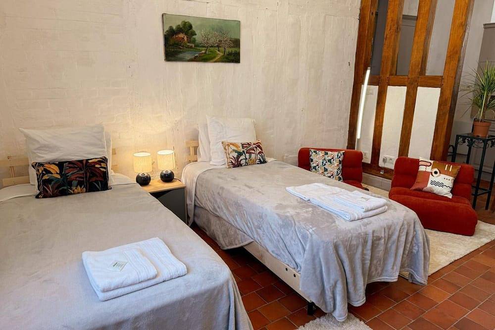Appartement entier, Studio centre-ville, animaux admis - 2 pers. in Blois, Région de Blois