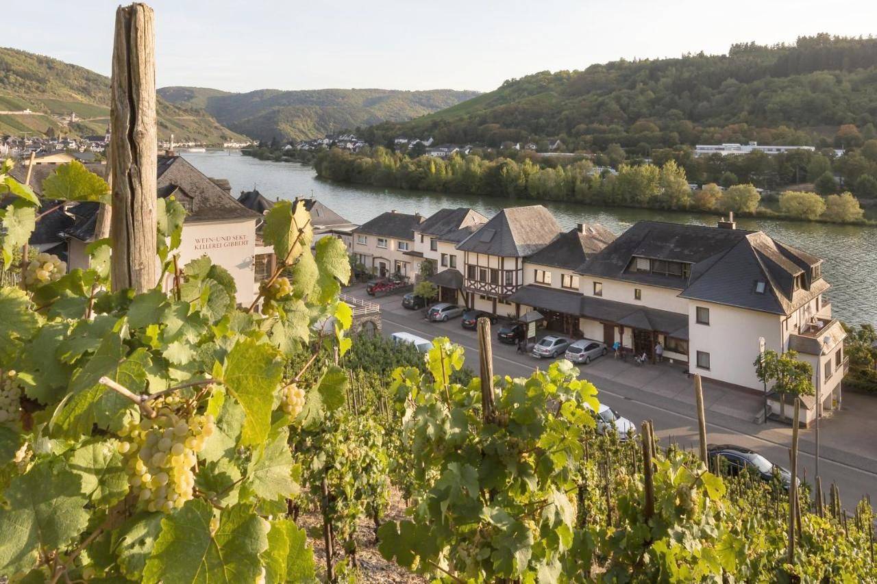 Hotel garni "Café im Hamm" in Zell Stadt (Mosel), Zell (Mosel)
