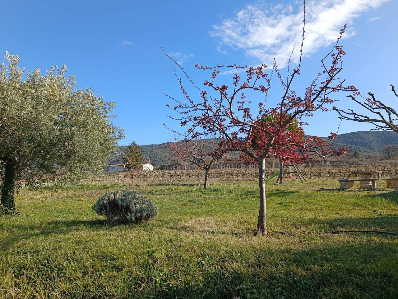 Gîte Cerise et Raisin in Méthamis, Parc naturel régional du Mont-Ventoux