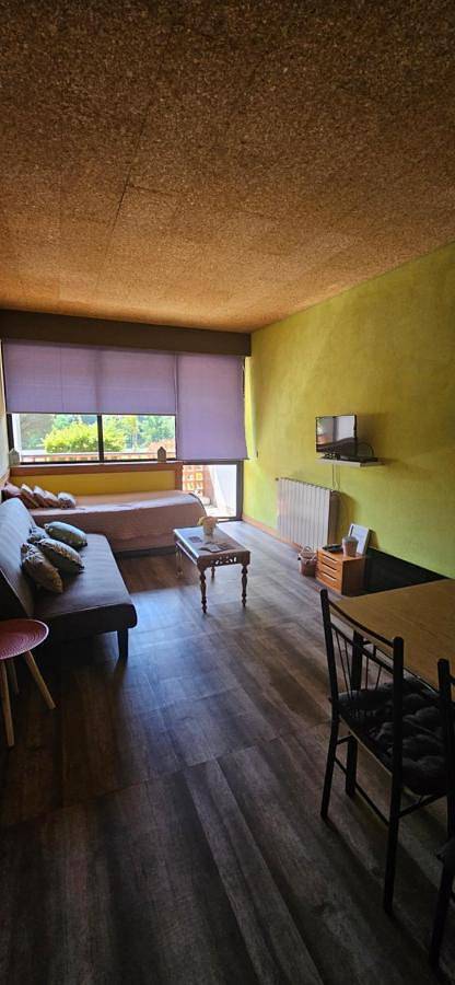 Apartamento de férias para 4 pessoas, com varanda e piscina, com animais de estimação em Oliveira de Frades