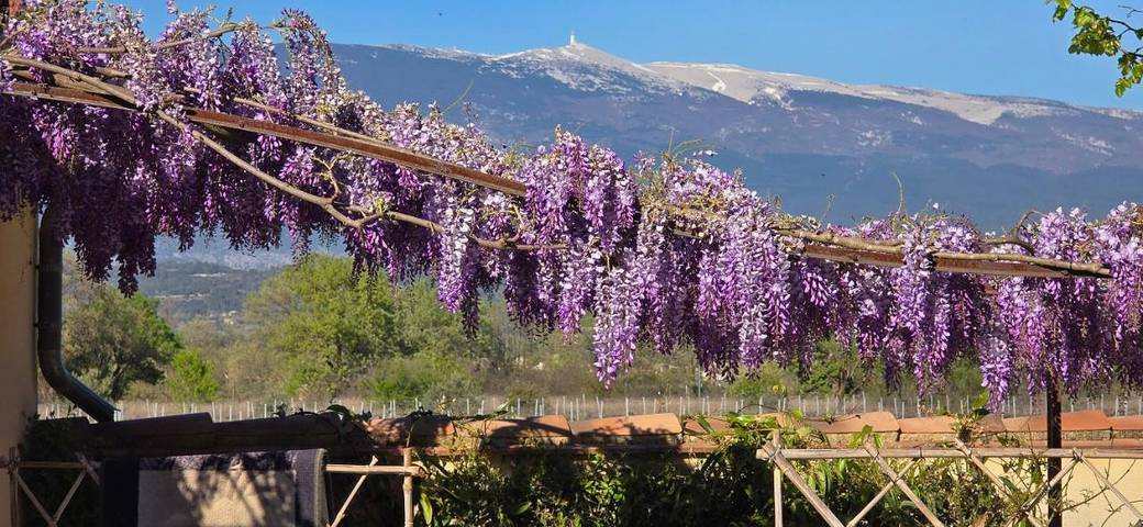 Chambre d’hôte pour 2 personnes, avec piscine ainsi que jardin et vue