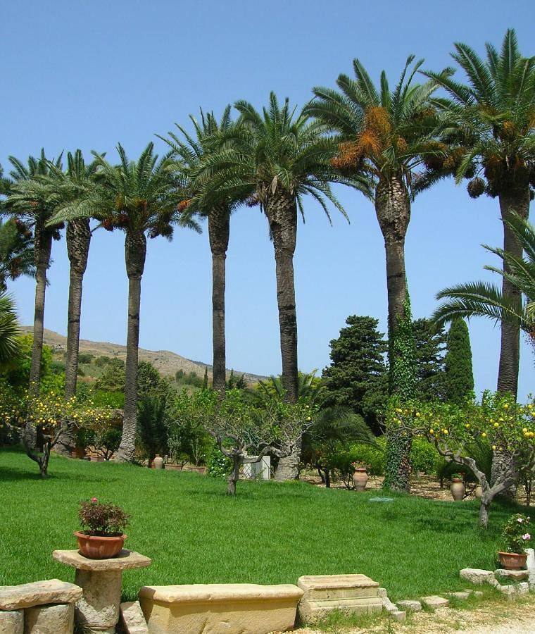 Bed And Breakfast Villa Pilati in Sant'Andrea Bonagia, Valderice