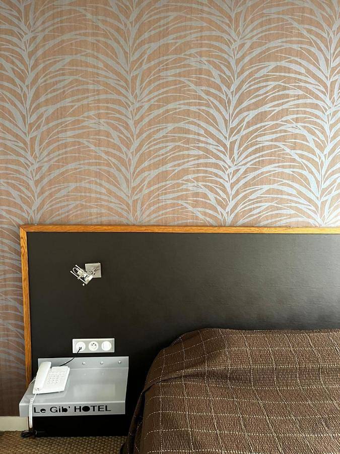 Hôtel pour 3 personnes, avec jardin et jacuzzi à Lohéac - 2
