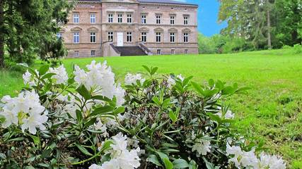 Schloss für 4 Personen in Bobitz