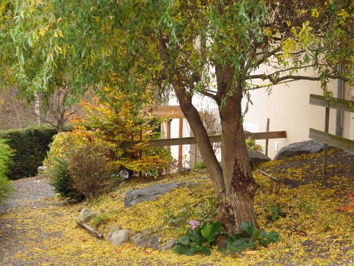 Gîte pour 6 personnes, avec jardin et terrasse à Arras-en-Lavedan - 2