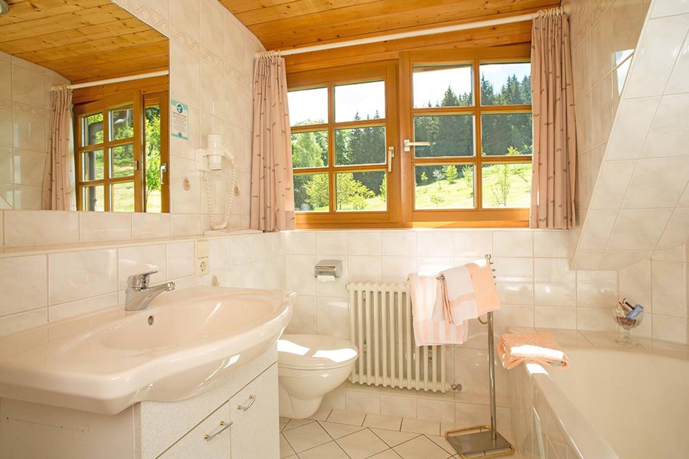 Ganze Wohnung, Ferienwohnung 'Tannenblick' mit Bergblick, Gemeinschaftsterrasse und Wlan in Hinterzarten, Südschwarzwald