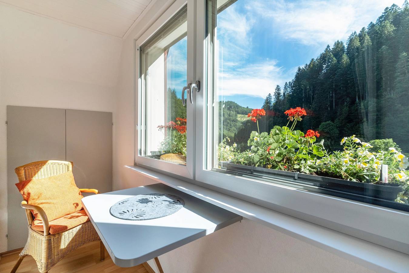 Ganze Wohnung, Ferienwohnung "1 Talblick" mit Bergblick, Gemeinschaftsterrasse und Wlan in Oppenau, Mittlerer Schwarzwald