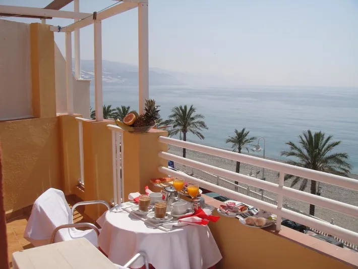 Hotel for 1 people, with pets - 1