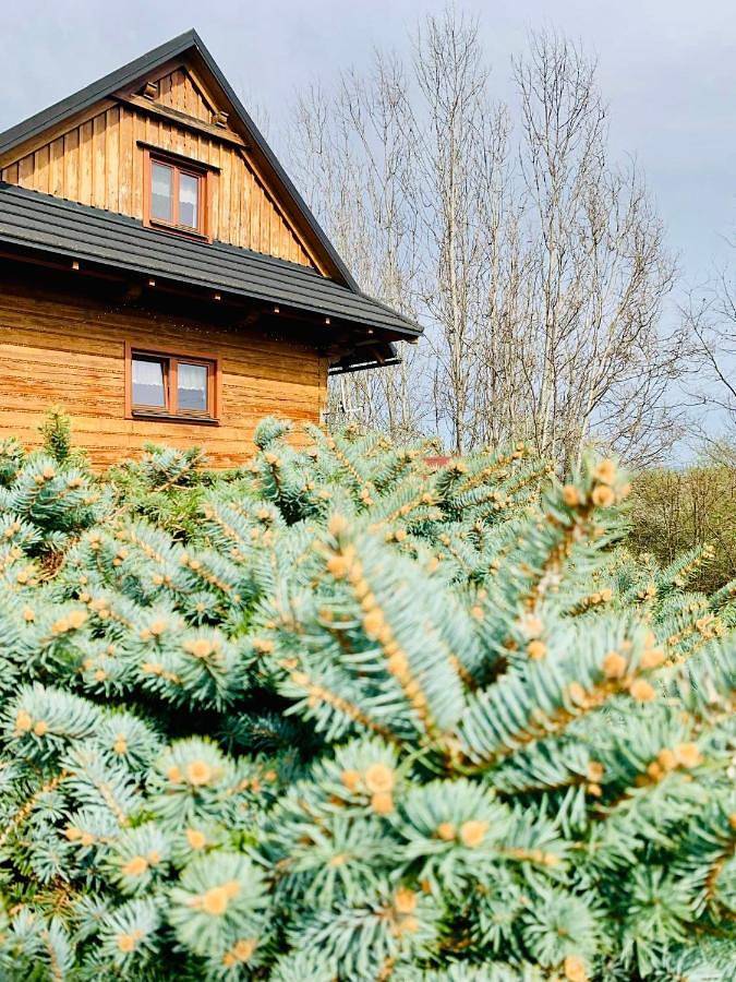 Chalet in Środkowa Słowacja