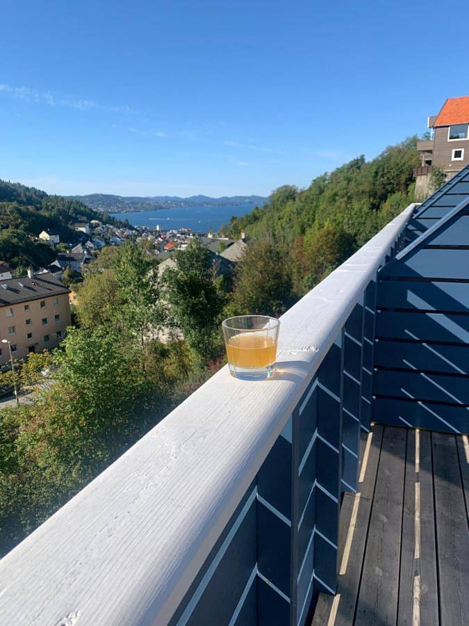 Ferienhaus für 4 Personen, mit Ausblick und Garten, mit Haustier in Bergen - 2