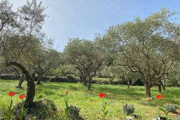Gîte pour 4 personnes, avec terrasse et jardin, animaux acceptés à Montmeyan