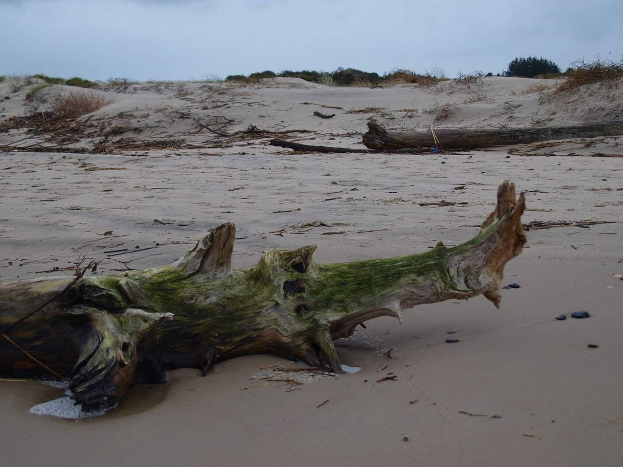 6 Personen Ferienhaus in Bindslev in Tversted, Tannisbucht