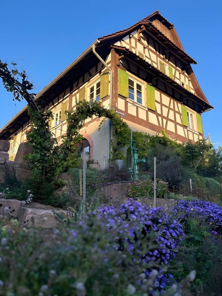Ganze Wohnung, Apartment 'Klein' mit Gemeinschaftsgarten und Wlan in Offenburg, Mittlerer Schwarzwald