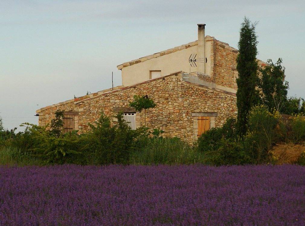 Maison au milieu des lavandes in Valensole, Parc naturel régional du Verdon
