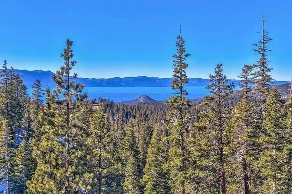 Ganze Wohnung, Die Honeymoon Lodge, Einheit H (-H in Kingsbury, Heavenly