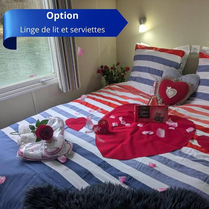 Bateau pour 6 personnes, avec balcon et jacuzzi, adapté aux familles en Bourgogne-Franche-Comté - 4