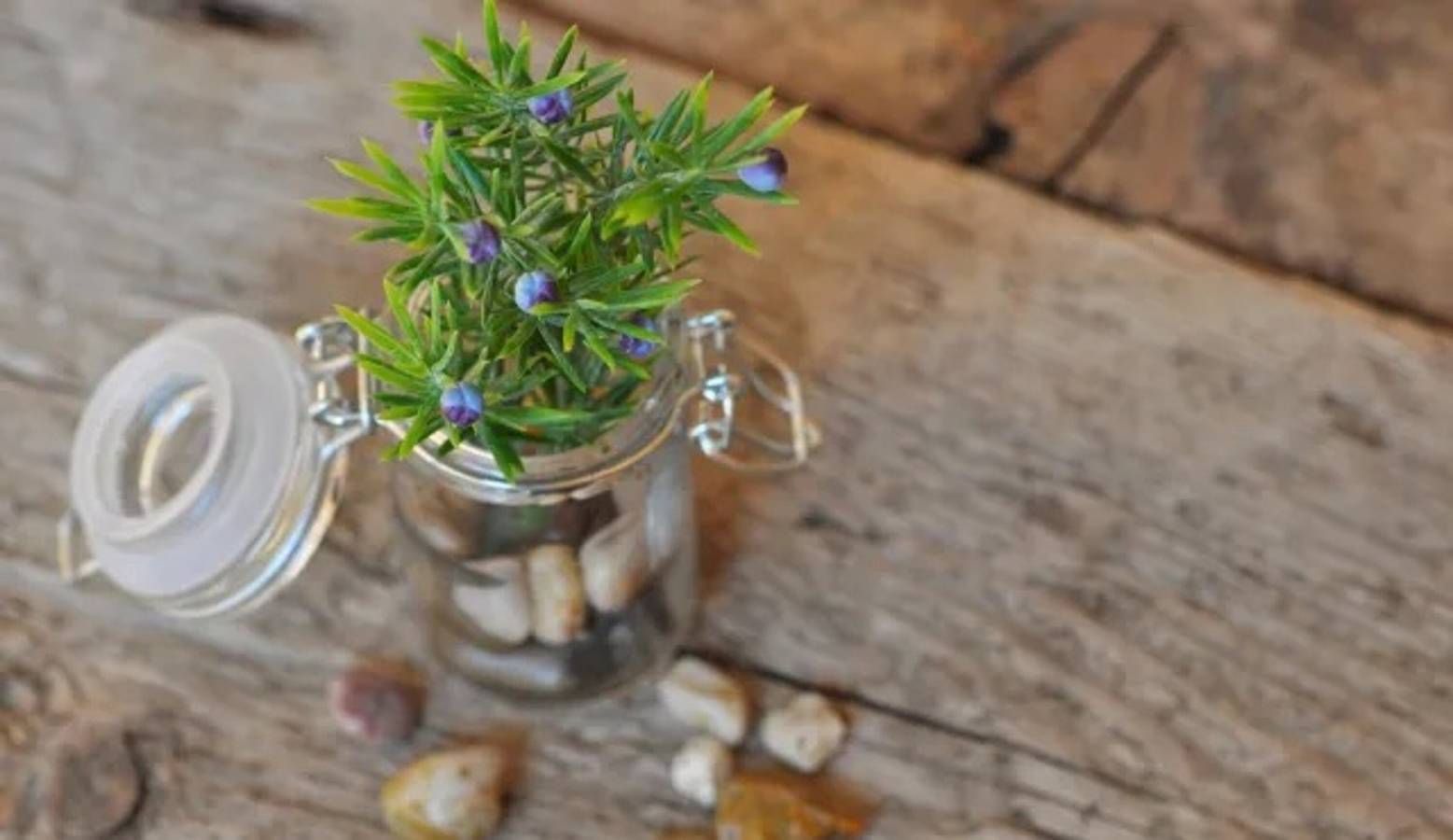 Room 'Hotel Pennhof Rubis' with Mountain View, Shared Pool and Wi-Fi in Saubach (Barbian), Barbian