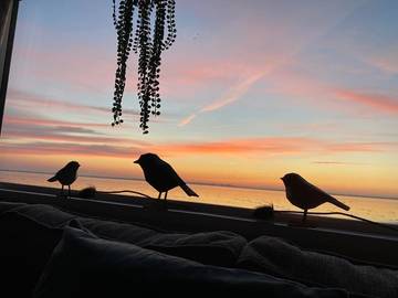 Strandhaus für 4 Personen in Holländische Küste, Ijsselmeer, Bild 2