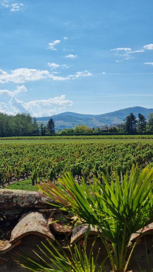 Maison de charme au cœur des vignes du Beaujolais in Saint-Georges-de-Reneins, Beaujolais