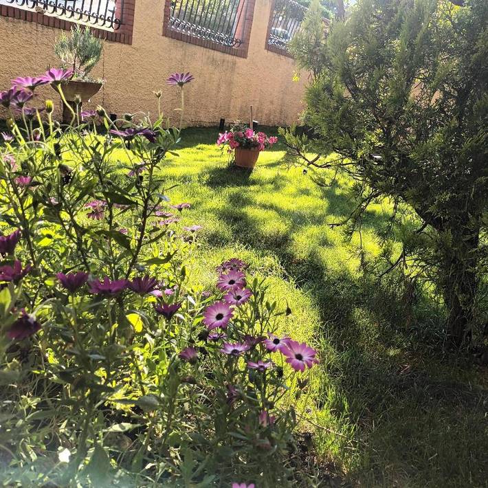 Appartement de vacances pour 3 personnes, avec jardin - 1