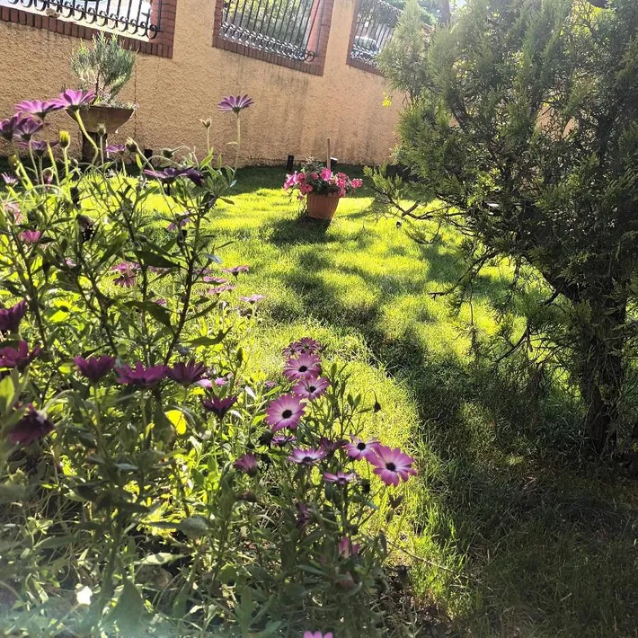 Appartement de vacances pour 4 personnes, avec jardin - 1