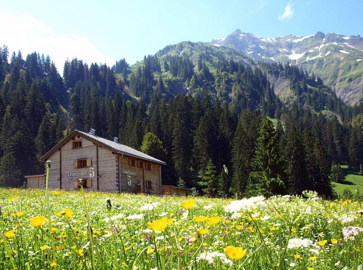Vital Chalets in Schröcken, Bregenzerwald