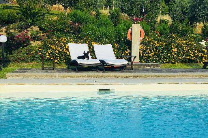 Romantico appartamento in villa con piscina nel Chianti Rufina in Londa, Firenze province