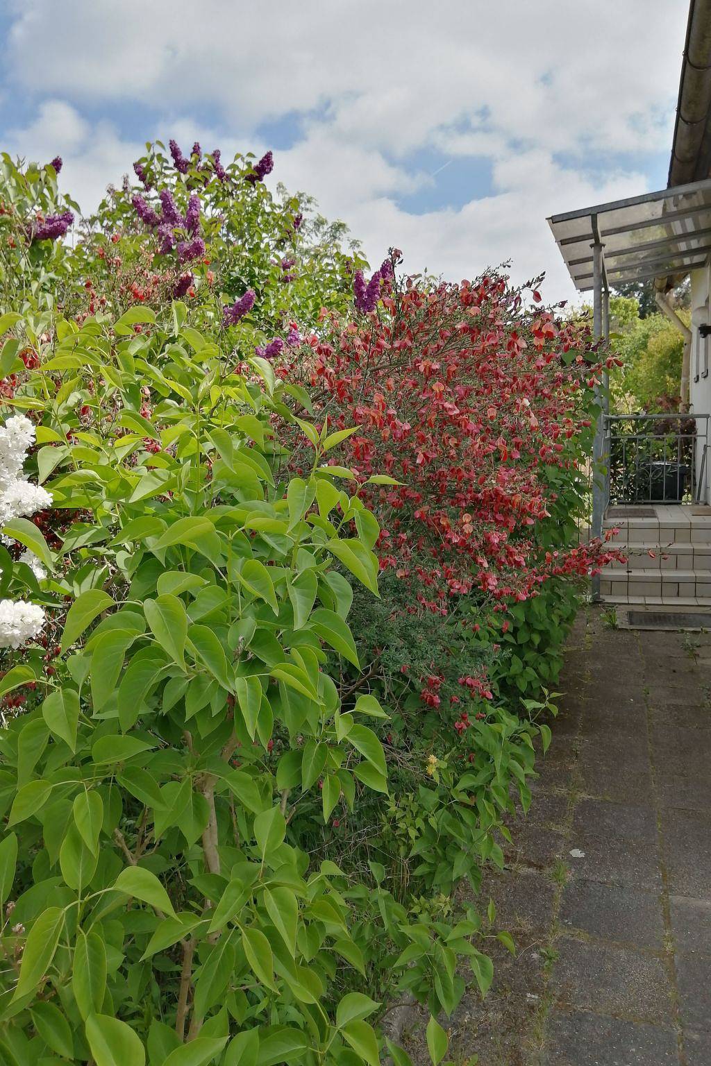 Adendorf in Adendorf, Nordheide