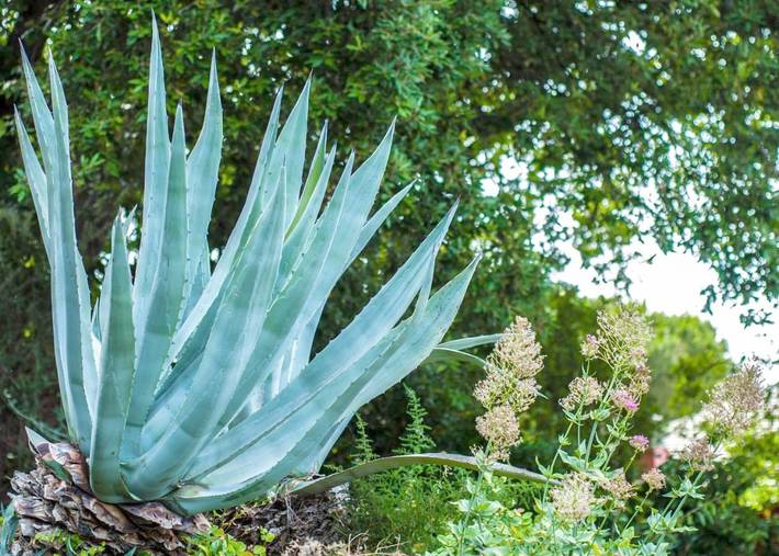 Location de vacances pour 8 personnes, avec jardin et vue, animaux acceptés à Arenzano - 2