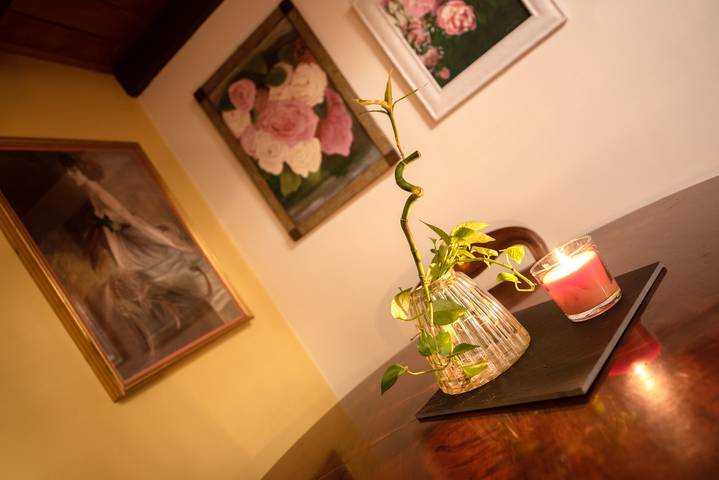 Holiday apartment for 5 people, with pets - 1