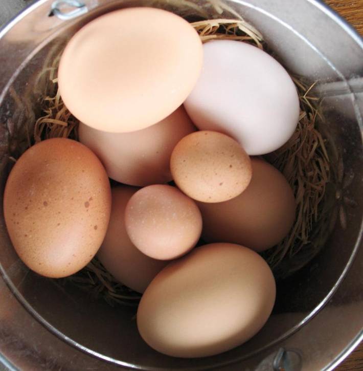 Chambre d’hôte pour 5 personnes, avec vue et jardin à Natchez - 3