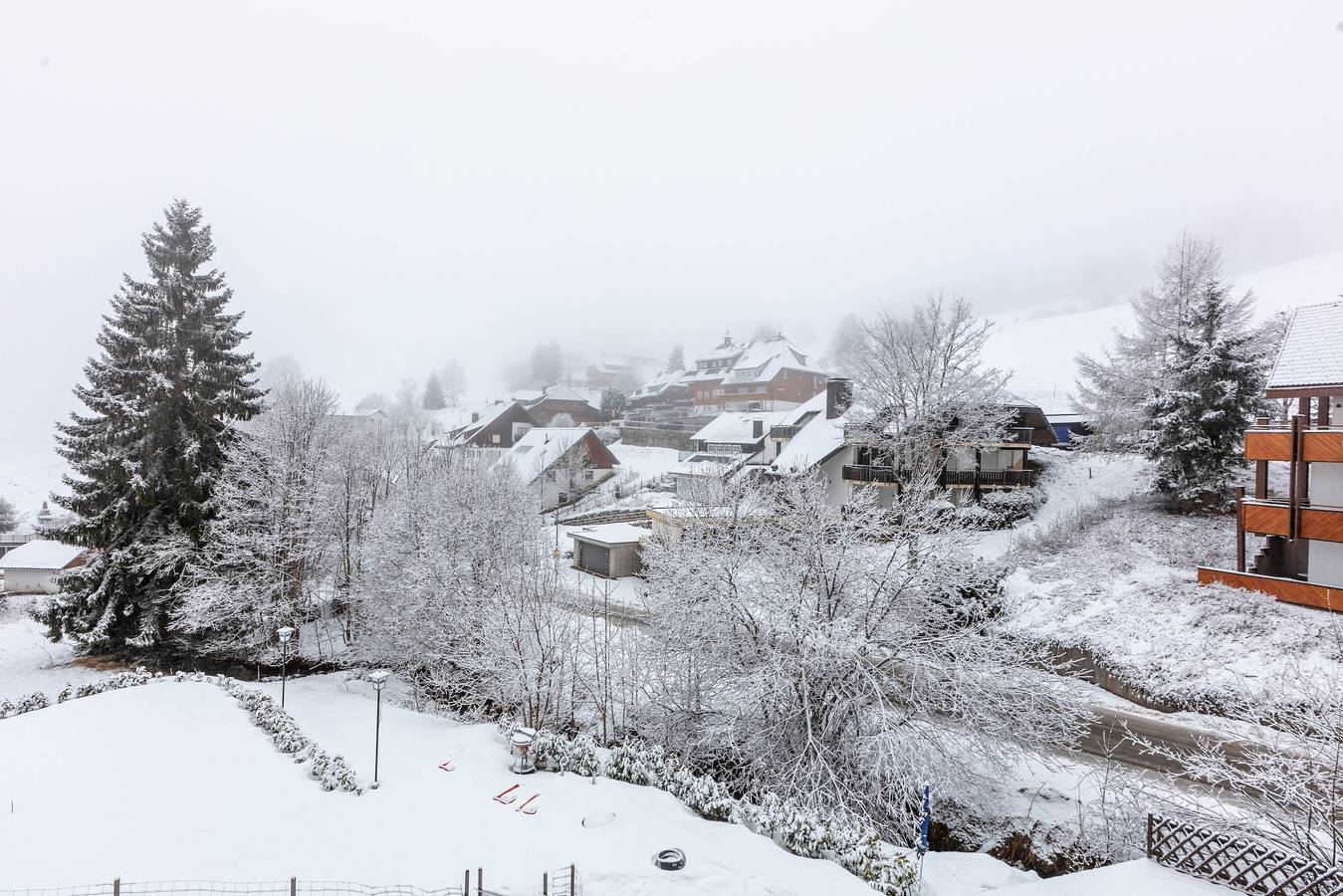 Ganze Wohnung, Haus Tannenberg Fewo Elias' Nestli in Todtnauberg (Todtnau), Todtnau