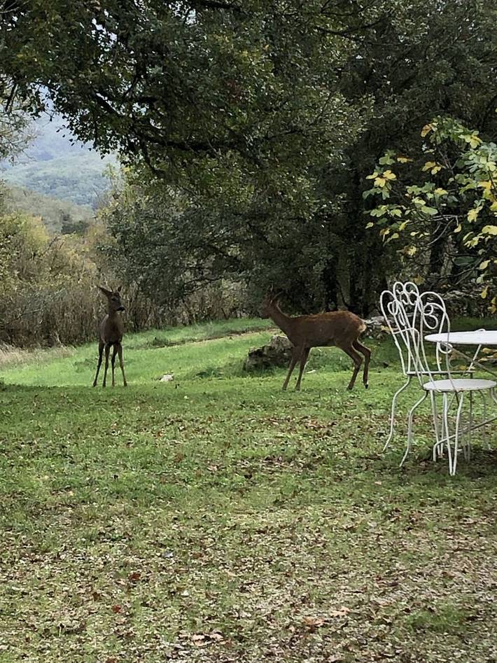 Gîte pour 2 personnes, avec jardin dans le Lot - 3