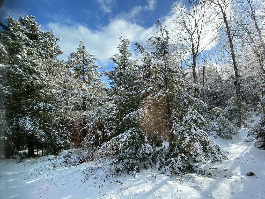 Private Mountain View Minuten zum Skifahren, Snowboarding Saison 2019 in Killington, Rutland County