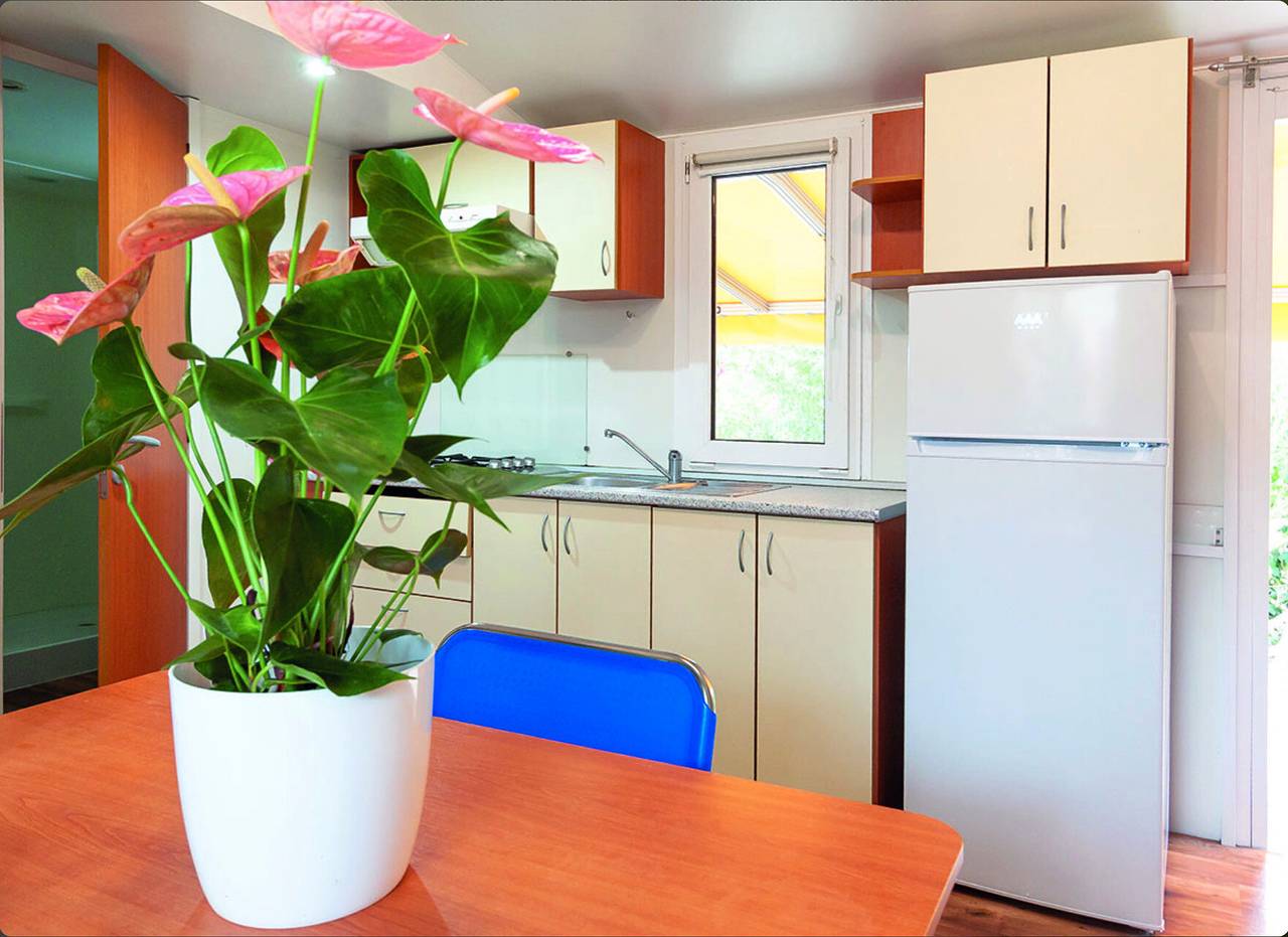 Mobilheim 'Casa Orchidea 4' mit privatem Garten und Wlan in Cavallino-Treporti, Venedig Provinz