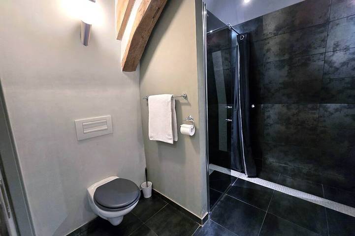 Chambre d’hôte pour 3 personnes à Terrasson-Lavilledieu - 3