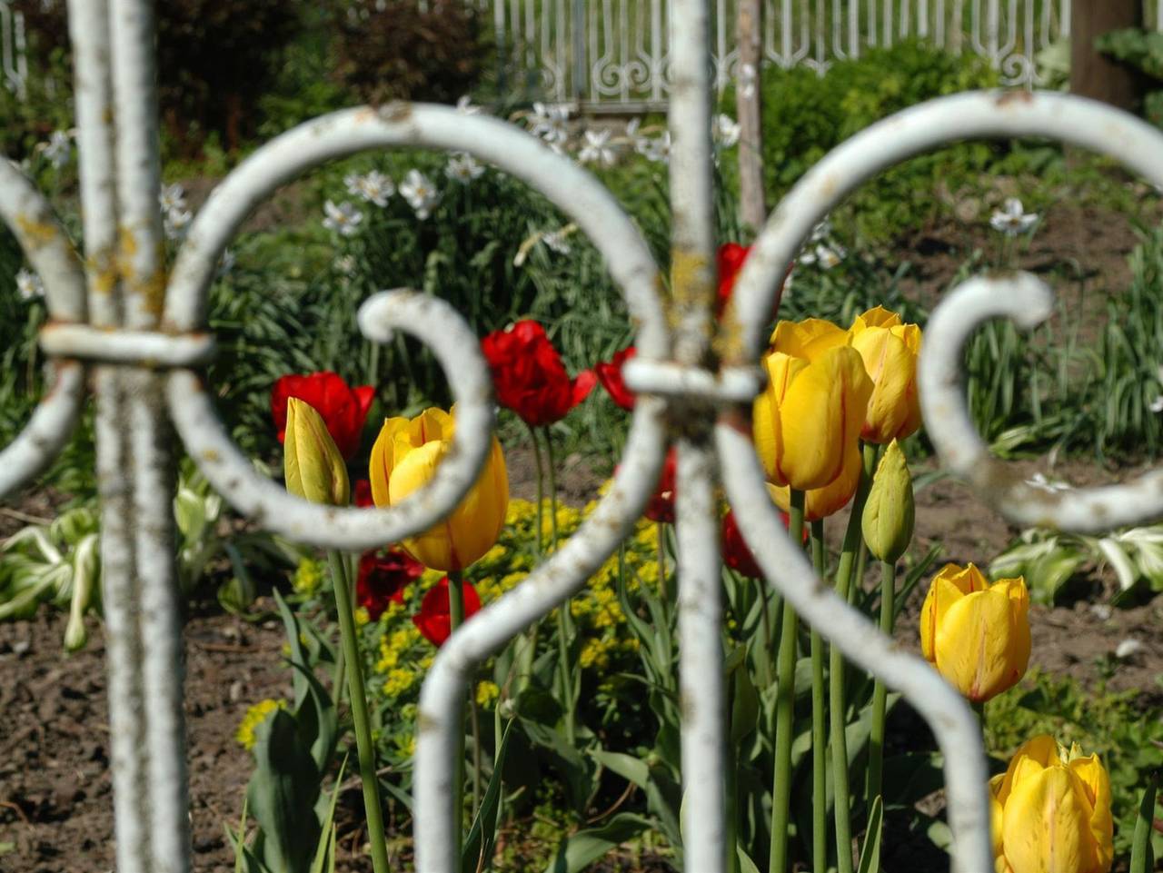 Ganze Ferienwohnung, Ferienhof Hopfgärtle Müller - Ferienwohnung Apfelrot in Bodnegg, Region Bodensee-Oberschwaben
