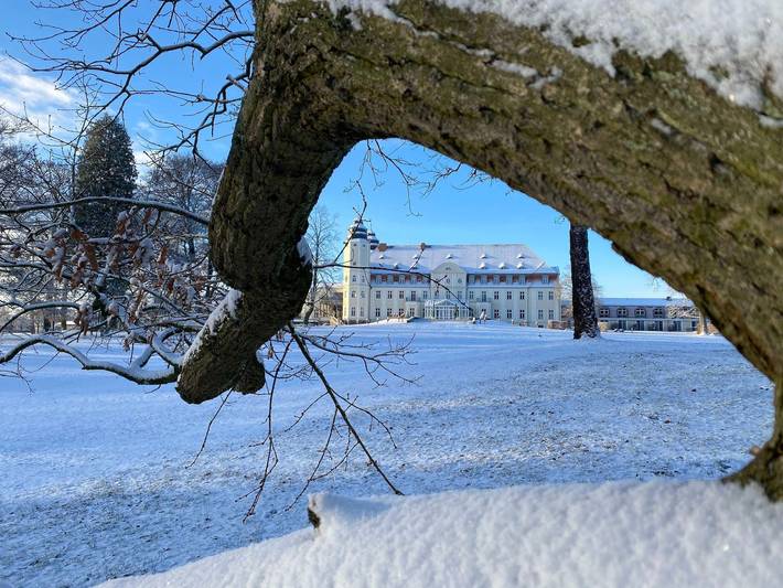 Ferienhaus für 6 Personen, mit Balkon und Garten, kinderfreundlich in Mecklenburgische Seenplatte - 3