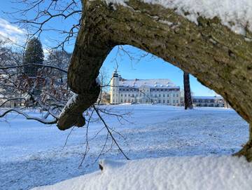 Ferienhaus für 6 Personen in Göhren-Lebbin, Fleesensee, Bild 2